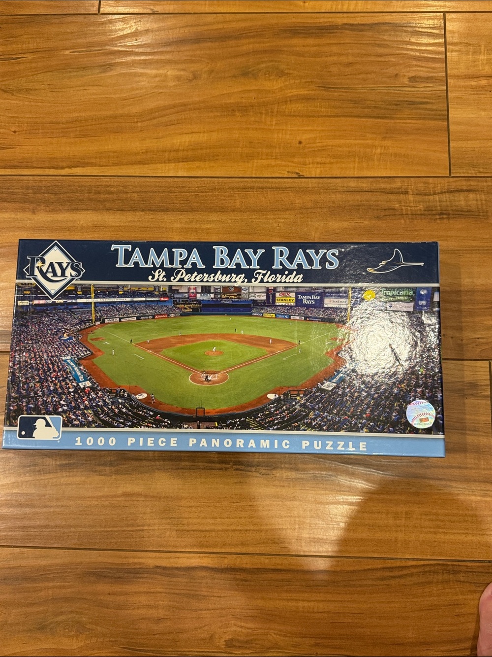 Tampa Bay Rays 1000-Piece Panoramic Puzzle Measures 39 X 13